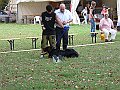 img 067
